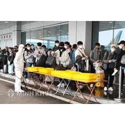 Điều kiện để tổ chức Việt Nam trúng thầu, công trình ở nước ngoài hoặc tổ chức đầu tư ra nước ngoài đưa lao động Việt Nam đi làm việc ở nước ngoài