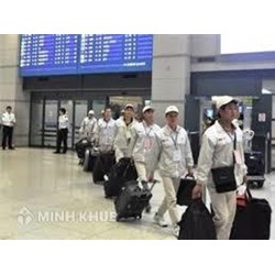 Người lao động muốn đi làm việc ở nước ngoài theo dạng hợp đồng với doanh nghiệp, đơn vị sự nghiệp cần có những điều kiện gì?