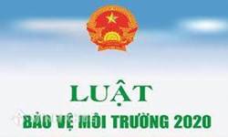 Bản cam kết hôn nhân |Link tải GG drive 7 Các đoạn mới của Luật Bảo vệ Môi trường có hiệu lực vào năm 2022