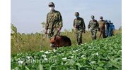 Chính sách ưu đãi và chế độ đặc thù đối với cán bộ, chiến sĩ Bộ đội Biên phòng