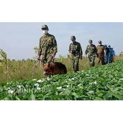 Chính sách ưu đãi và chế độ đặc thù đối với cán bộ, chiến sĩ Bộ đội Biên phòng