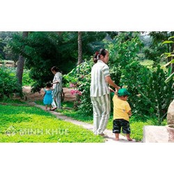 Chế độ chăm sóc, nuôi dưỡng trẻ em dưới 36 tháng tuổi ở cùng mẹ trong cơ sở giam giữ