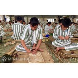 Quy định về sử dụng kết quả lao động, học nghề của phạm nhân