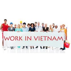 Xử phạt vi phạm hành chính hành vi vi phạm quy định về người nước ngoài làm việc ở Việt Nam