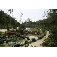 Quy định mới về tiêu chuẩn chức danh nghề nghiệp di sản viên