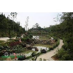 Quy định mới về tiêu chuẩn chức danh nghề nghiệp di sản viên
