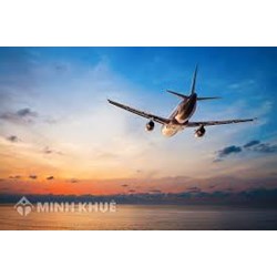 Xử phạt các hành vi vi phạm các quy định liên quan đến hợp đồng đưa người lao động đi làm việc ở nước ngoài