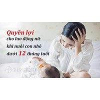 Những quyền lợi riêng đối với lao động nữ nuôi con nhỏ dưới 12 tháng tuổi mới nhất hiện nay