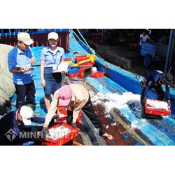 Đối tượng nào phải truy xuất nguồn gốc và thu hồi sản phẩm không đảm bảo chất lượng, an toàn thực phẩm trong lĩnh vực thủy sản?