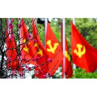 Chức năng, nhiệm vụ của chi bộ cơ sở trong Doanh nghiệp có vốn Nhà nước dưới 50%