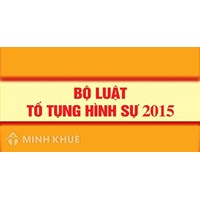 Những vấn đề lý luận về các giai đoạn tố tụng hình sự
