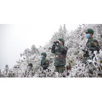 Bộ đội biên phòng có vị trí, chức năng, nhiệm vụ và quyền hạn gì?