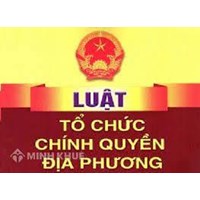 Phân tích nguyên tắc tổ chức, hoạt động của chính quyền địa phương