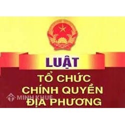 Phân tích nguyên tắc tổ chức, hoạt động của chính quyền địa phương