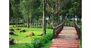 Mức phạt những hành vi vi phạm quy định về bảo vệ cây xanh, công viên, vườn hoa