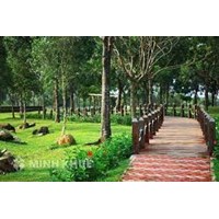 Mức phạt những hành vi vi phạm quy định về bảo vệ cây xanh, công viên, vườn hoa