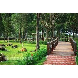 Mức phạt những hành vi vi phạm quy định về bảo vệ cây xanh, công viên, vườn hoa
