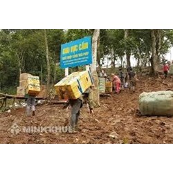 Vận chuyển chất cấm qua biên <strong>giới</strong> thì bị xử lý như thế nào?