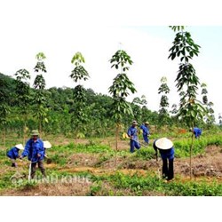 Các chính sách hỗ trợ, ưu đãi của nhà nước đối với hợp tác xã, liên hiệp hợp tác xã