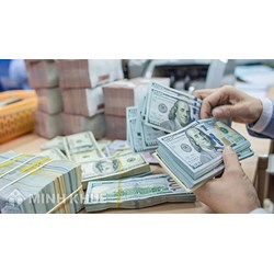 Quy định mới về giao dịch ngoại tệ giữa Ngân hàng Nhà nước và tổ chức tín dụng được phép hoạt động ngoại hối
