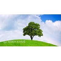 Hướng dẫn hồ sơ, thủ tục đề nghị cấp Giấy phép môi trường