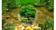 Hướng dẫn hồ sơ, thủ tục cấp đổi, điều chỉnh, cấp lại giấy phép môi trường