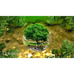 Hướng dẫn hồ sơ, thủ tục cấp đổi, điều chỉnh, cấp lại giấy phép môi trường