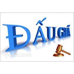 Mức phạt hành chính đối với các hành vi vi phạm quy định về hoạt động của tổ chức đấu giá tài sản