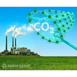 Mẫu báo cáo phục vụ kiểm kê khí nhà kính cấp quốc gia theo quy định mới
