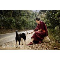 Hạnh bố thí là gì ? Tìm hiểu về hạnh bố thí trong Đạo Phật