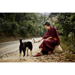Hạnh bố thí là gì ? Tìm hiểu về hạnh bố thí trong Đạo Phật
