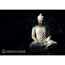 Phật, Đức phật (BUDDHA) là ai? Một số đặc tính của Đức Phật