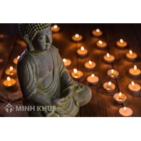 Đạo Đế là gì ? Tìm hiểu về Đạo đế trong Tứ diệu đế của Đạo Phật