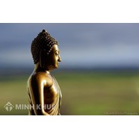 Nguồn gốc của nghiệp do đâu ? Vô minh là gì ? Hiểu thế nào về nghiệp do mình tạo