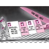 Trình tự, thủ tục xin thôi quốc tịch Việt nam được thực hiện như thế nào?