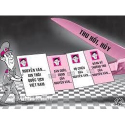 Trình tự, thủ tục xin thôi quốc tịch Việt nam được thực hiện như thế nào?