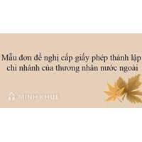 Hồ sơ, thủ tục cấp giấy phép thành lập chi nhánh của thương nhân nước ngoài tại Việt Nam