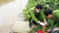 Hình thức, mức xử phạt và biện pháp khắc phục hậu quả đối với hành vi vi phạm hành chính trong lĩnh vực bảo vệ môi trường