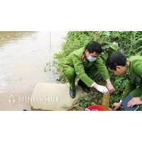 Hình thức, mức xử phạt và biện pháp khắc phục hậu quả đối với hành vi vi phạm hành chính trong lĩnh vực bảo vệ môi trường