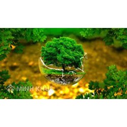 Mức pạt hành chính hành vi vi phạm các quy định về xả nước thải có chứa các thông có môi trường nguy hại vào môi trường