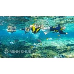 Quy định mới về trình tự, thủ tục điều chỉnh ranh giới, diện tích khu bảo tồn biển