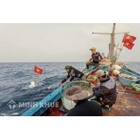 Danh mục nghề, ngư cụ cấm sử dụng khai thác thủy sản