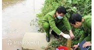 Mức xử phạt hành chính hành vi vi phạm các quy định về bảo vệ môi trường liên quan đến hoạt động vận chuyển chất thải nguy hại