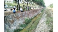 Quy định của pháp luật về xử lý chất thải nguy hại như thế nào?