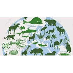 Mức phạt hành chính hành vi vi phạm các quy định về quản lý cơ sở bảo tồn đa dạng sinh học