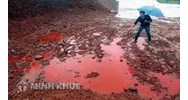 Quy định của pháp luật hiện hành về bảo vệ môi trường đất như thế nào?