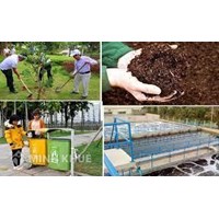 Điều tra, đánh giá, xử lý, cải tạo và phục hồi môi trường đất được thực hiện như thế nào?