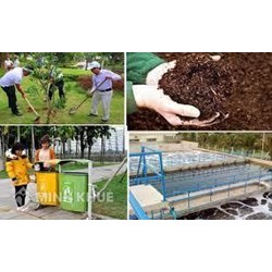 Điều tra, đánh giá, xử lý, cải tạo và phục hồi môi trường đất được thực hiện như thế nào?