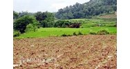 Hướng dẫn thực hiện thủ tục chuyển đổi mục đích sử dụng đất đầy đủ nhất