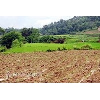 Hướng dẫn thực hiện thủ tục chuyển đổi mục đích sử dụng đất đầy đủ nhất